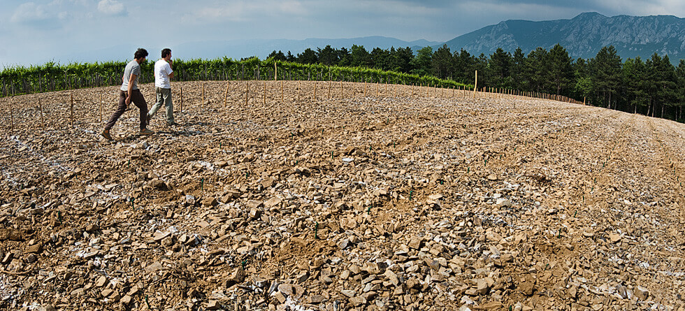 Domaine Burja - photographies